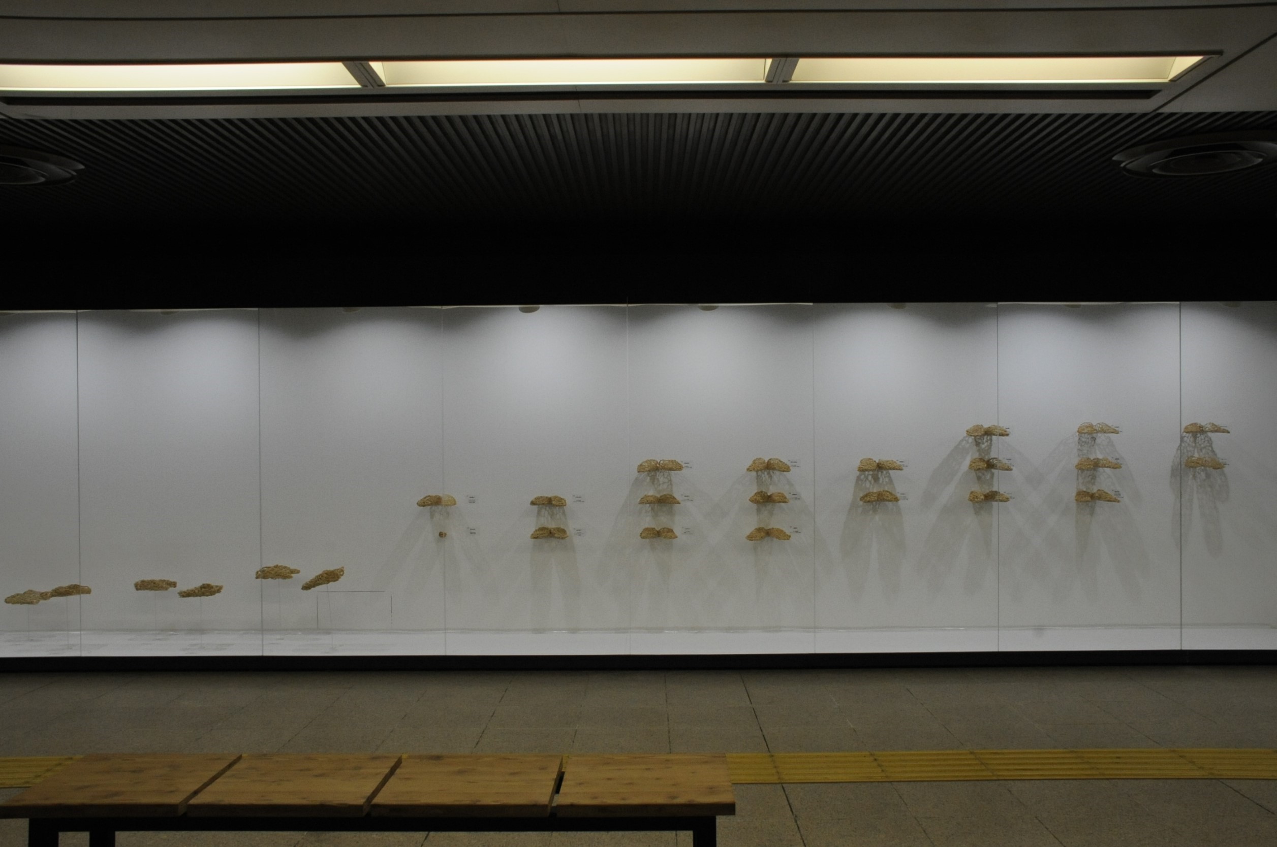 The 3rd Sapporo 500ｍ Gallery Award-Yoko Tamura-foot shapes that evoke memories-