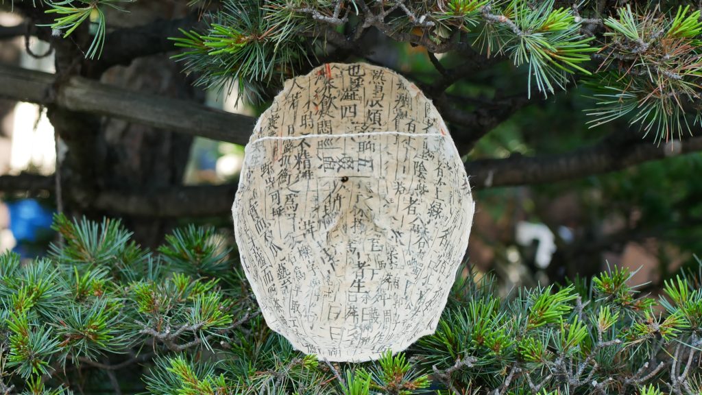 耳なし陽子　札幌のファイバーアーティスト田村陽子